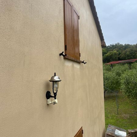 Agriturismo Il Sorbo Appartamento Menta Sticciano Экстерьер фото